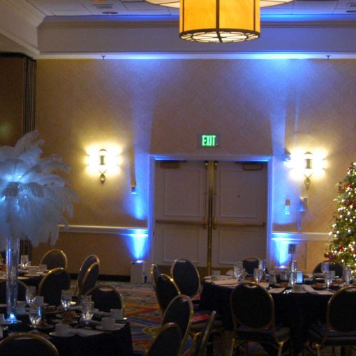 Up-Lighting at The Fifth Annual National Association of Hispanic Nurses Scholarship Awards Gala in the Grand Ballroom at The Westchester Marriott in Tarrytown, NY.