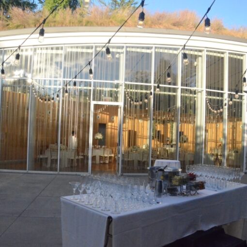 Outdoor String Lights at The Lillian and Amy Goldman Atrium The Brooklyn Botanical Gardens