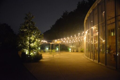 Outdoor String Lights at The Lillian and Amy Goldman Atrium - The Brooklyn Botanical Gardens