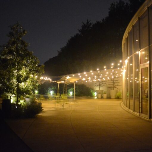 Outdoor String Lights at The Lillian and Amy Goldman Atrium The Brooklyn Botanical Gardens