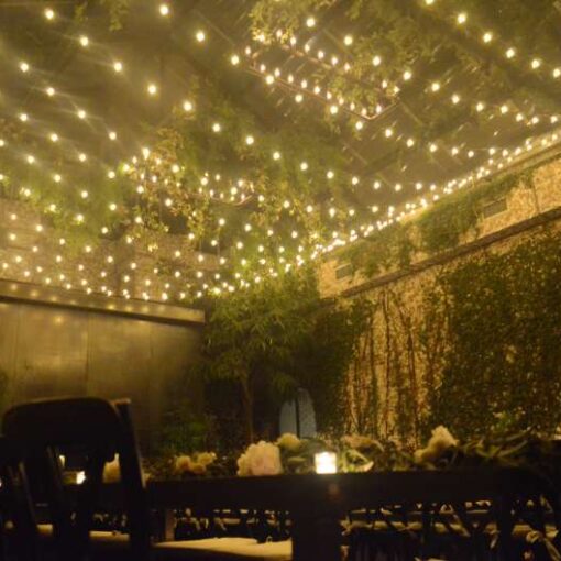 A canopy of Warm White String Lights with round G50 bulbs hanging in The Greenhouse for a wedding at The Foundry.