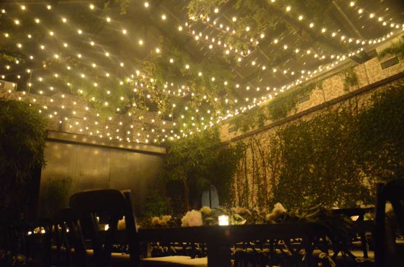 A canopy of Warm White String Lights with round G50 bulbs hanging in The Greenhouse for a wedding at The Foundry.