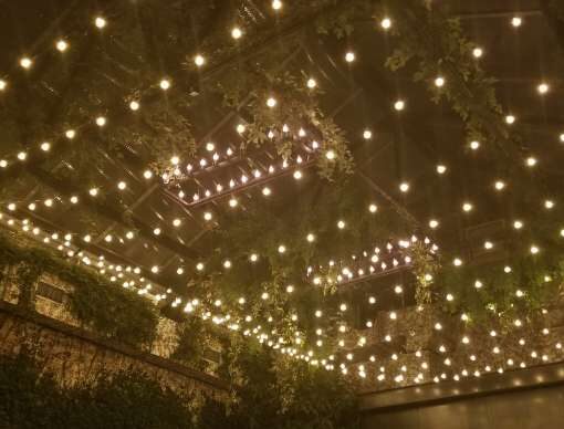 A Canopy of String lighting with warm white bulbs hanging overhead in The Greenhouse for a wedding at The Foundry.