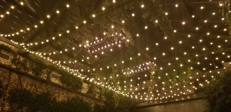 A Canopy of String lighting with warm white bulbs hanging overhead in The Greenhouse for a wedding at The Foundry.