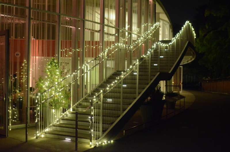 Twinkle Lights (mini LED string lights) hanging along the outdoor stairway.