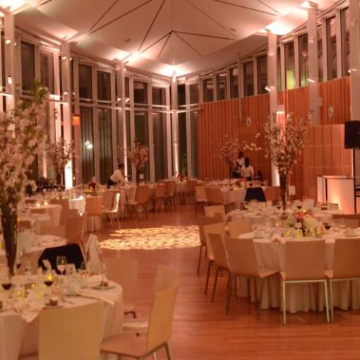 Up-Lights around the perimeter wall at The Lillian and Amy Goldman Atrium in The Brooklyn Botanical Garden.  Also, a floral textured wash (Stock Gobo) on dance floor.