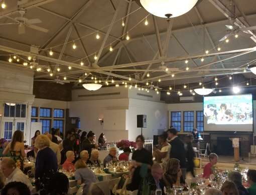 String Lights are hanging in a zigzagging pattern in the main room The Prospect Park Picnic House.