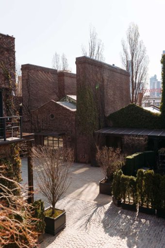 The ivy in The Foundry's Courtyard in the early spring. - March 28, 2026