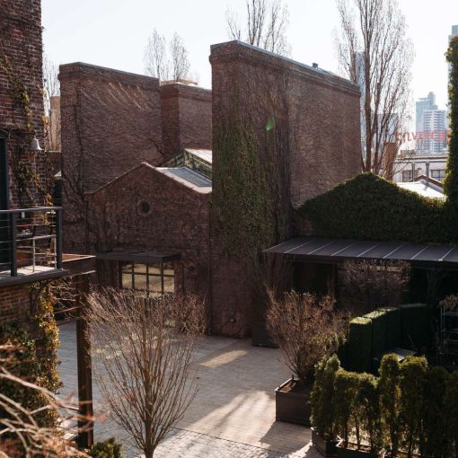 The ivy in The Foundry's Courtyard in the early spring. - March 28, 2026 The ivy in The Foundry's Courtyard in the early spring. - March 28, 2026