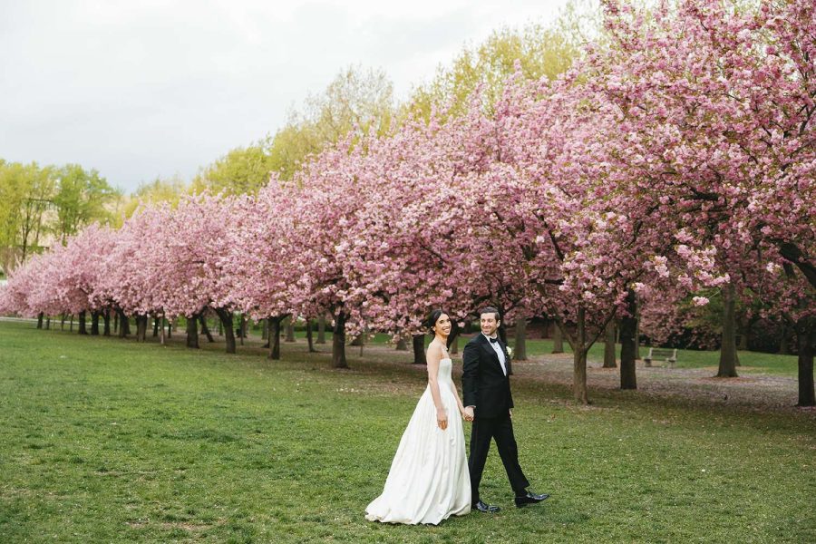Christina and Cory's spring wedding photo under the iconic cherry blossoms at The Brooklyn Botanic Garden.